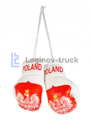 Боксерские перчатки POLAND (26262)
