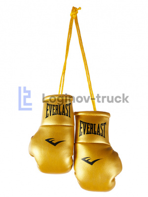 Боксерские перчатки EVERLAST Золотое (26250)