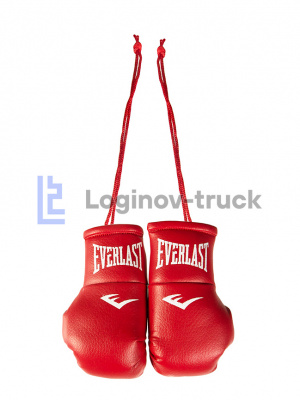Боксерские перчатки EVERLAST Красные (26255)