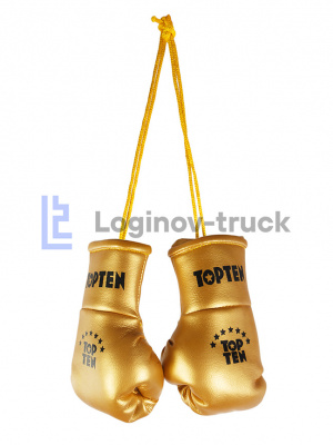 Боксерские перчатки TOPTEN Золотое (26248)