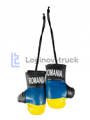 Боксерские перчатки ROMANIIA (26264)